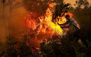 Sebaran Karhutla Hari Ini: Kalteng Catat 8.608 Titik Panas