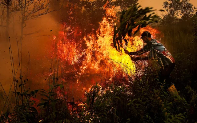 Sebaran Karhutla Hari Ini: Kalteng Catat 8.608 Titik Panas