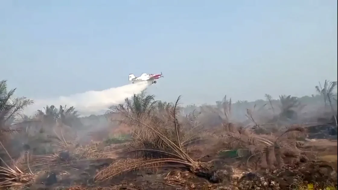 BNPB Seleksi Tawaran Bantuan Asing untuk Padamkan Karhutla