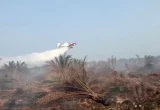BNPB Seleksi Tawaran Bantuan Asing untuk Padamkan Karhutla