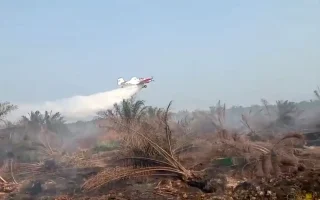 BNPB Seleksi Tawaran Bantuan Asing untuk Padamkan Karhutla