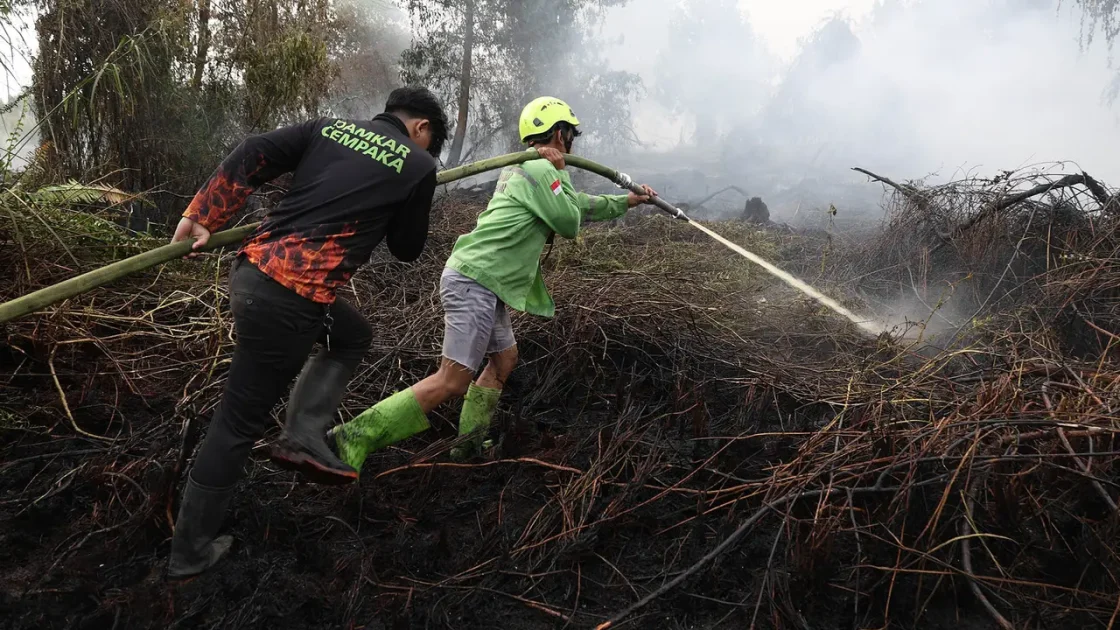 Imbauan BNPB untuk Relawan Kebakaran Hutan dan Lahan