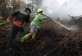 Imbauan BNPB untuk Relawan Kebakaran Hutan dan Lahan