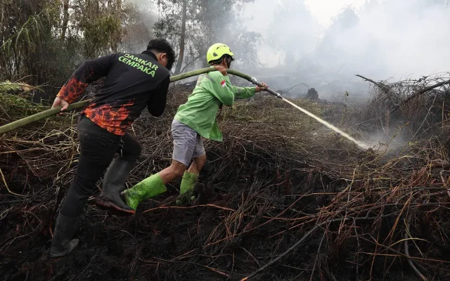 Imbauan BNPB untuk Relawan Kebakaran Hutan dan Lahan