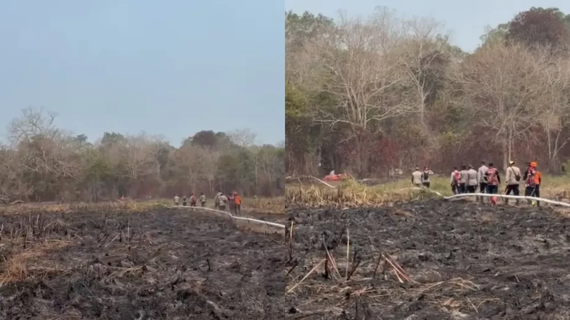 Titik Api Way Kambas Padam, Jarak 14 Km dari PLG
