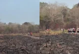Titik Api Way Kambas Padam, Jarak 14 Km dari PLG