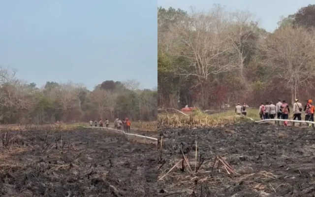 Titik Api Way Kambas Padam, Jarak 14 Km dari PLG