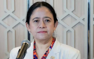 Puan Minta RS dan Layanan Kesehatan Kalteng Siaga Hadapi Karhutla