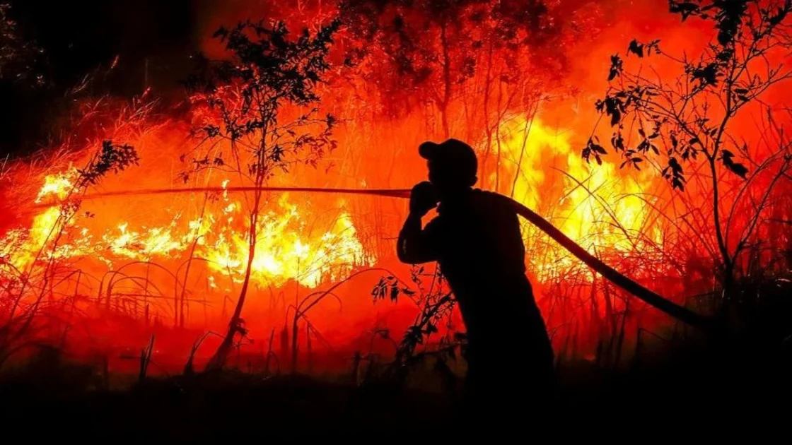 Hubungan Indonesia-Singapura Memanas akibat Karhutla