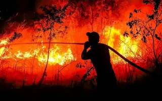 Hubungan Indonesia-Singapura Memanas akibat Karhutla