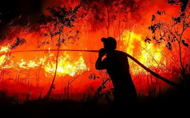 Hubungan Indonesia-Singapura Memanas akibat Karhutla
