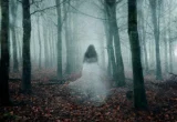 Mengapa Sebagian Orang Mengalami Kejadian Paranormal?