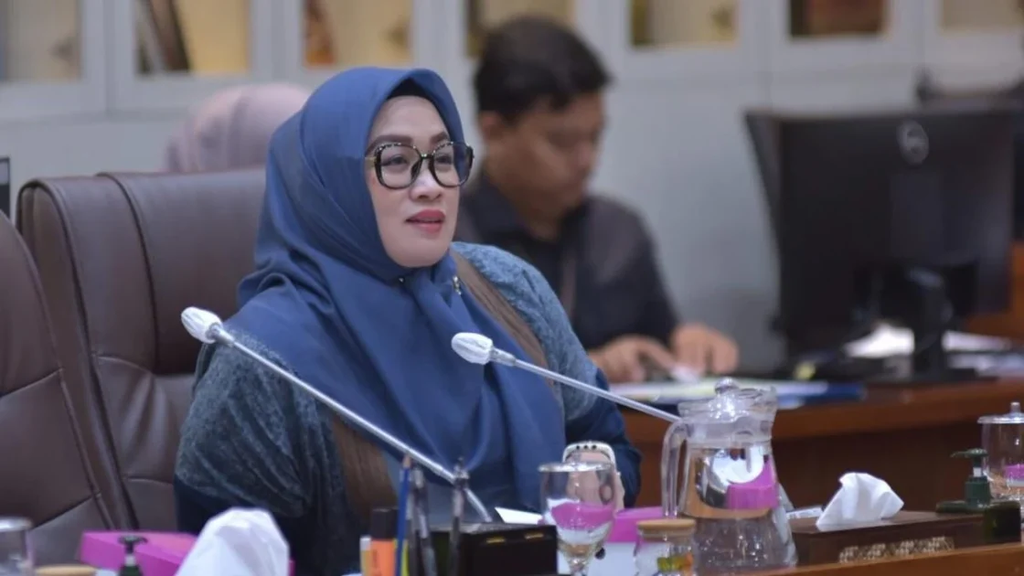 DPR Dorong Pemerataan Layanan Kesehatan Hingga Pelosok Negeri