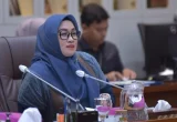 DPR Dorong Pemerataan Layanan Kesehatan Hingga Pelosok Negeri