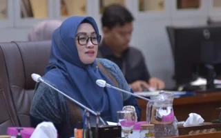 DPR Dorong Pemerataan Layanan Kesehatan Hingga Pelosok Negeri