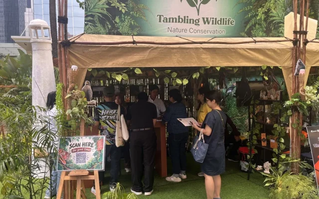 WCCE 2026 Dorong Kolaborasi Global Ekonomi Kreatif