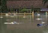 Banjir dan Longsor Terjang Banyumas, 3 SD Ikut Terdampak