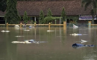 Banjir dan Longsor Terjang Banyumas, 3 SD Ikut Terdampak