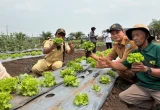Petani Bangka Selatan Jajaki Peluang Pasok Sayur ke SPPG
