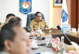 Mendagri Minta Pemda Perkuat Larangan Bakar Lahan