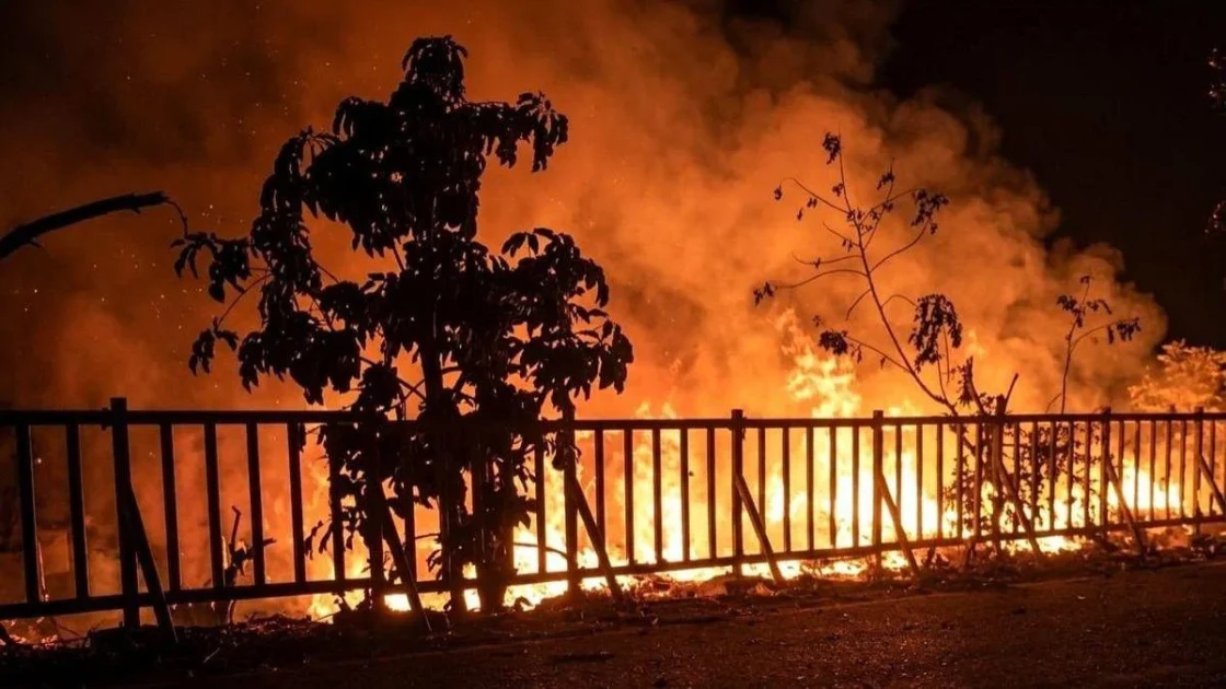 Karhutla Landa Belasan Taman Nasional, Walhi Soroti Satgas