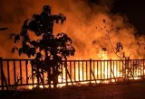 Karhutla Landa Belasan Taman Nasional, Walhi Soroti Satgas