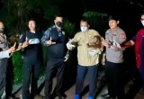 Polri Selamatkan Induk dan Bayi Orang Utan di Kotim