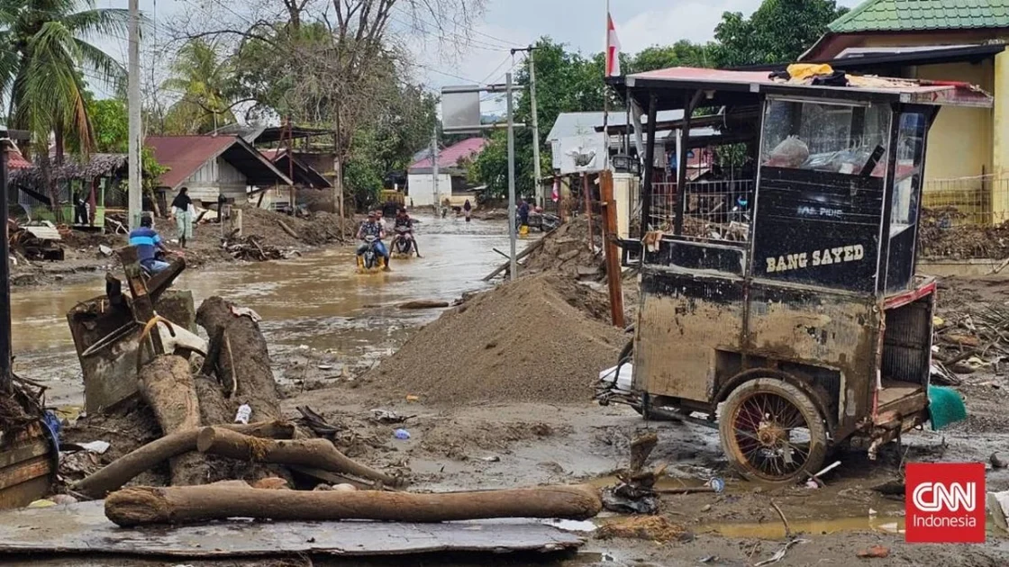 Banjir Kepung Aceh Selatan, Petani Aceh Tamiang Sulit Panen