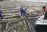 TNI AL Tangkap Dua Kapal Selundupkan Kayu Ilegal