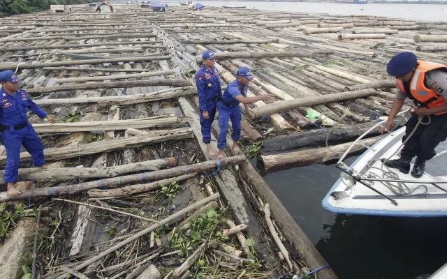 TNI AL Tangkap Dua Kapal Selundupkan Kayu Ilegal