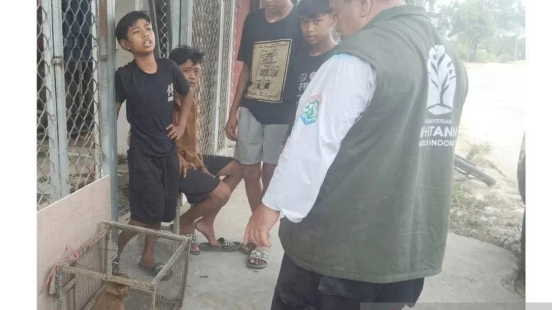 Aksi 4 Bocah Samarinda Selamatkan Bekantan Banjir Apresiasi