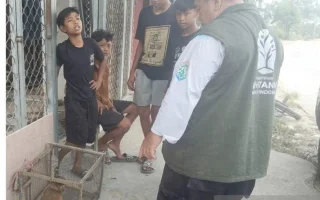 Aksi 4 Bocah Samarinda Selamatkan Bekantan Banjir Apresiasi