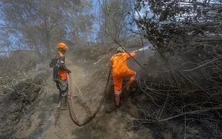 Evaluasi SOP Pemadaman Karhutla Bromo Usai Korban Jiwa