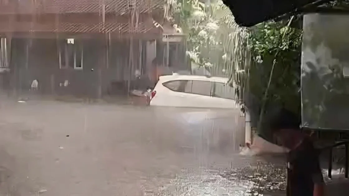 Hujan Angin di Bogor Picu Banjir Lintasan dan Pohon Tumbang