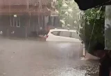 Hujan Angin di Bogor Picu Banjir Lintasan dan Pohon Tumbang