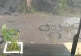 Hujan Es di Palangka Raya, Warga: Seperti Dilempari Batu