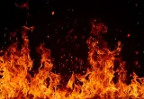 Kebakaran Lahan 7 Hektare di Palembang Nyaris Bakar Rumah