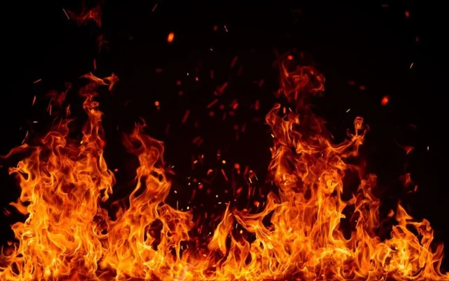 Kebakaran Lahan 7 Hektare di Palembang Nyaris Bakar Rumah