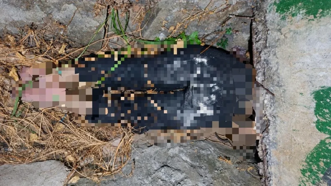 Wanita di Bandar Lampung Tewas Terikat dalam Parit