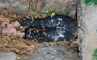 Wanita di Bandar Lampung Tewas Terikat dalam Parit