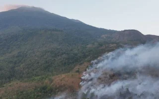 Daftar Gunung di Pulau Jawa yang Alami Karhutla