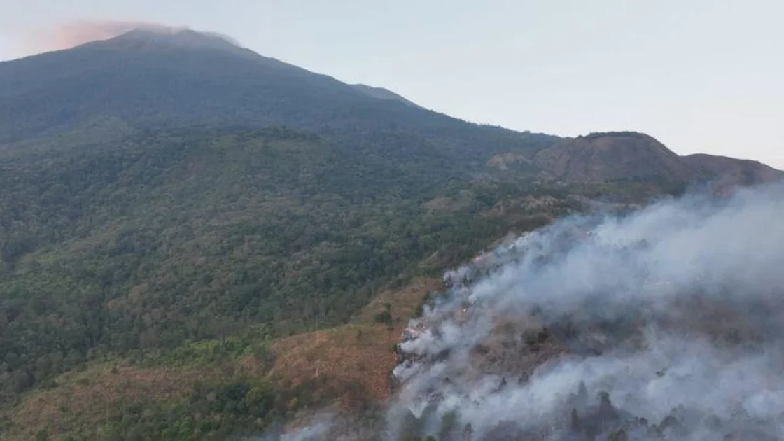 Bayi Surili Korban Karhutla Gunung Ciremai Diselamatkan Petani