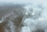BNPB Kerahkan Helikopter Padamkan Karhutla Way Kambas