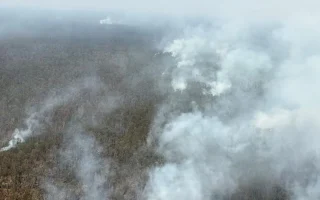 BNPB Kerahkan Helikopter Padamkan Karhutla Way Kambas