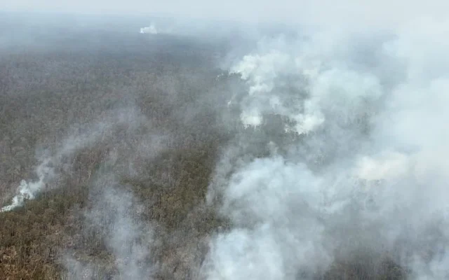 BNPB Kerahkan Helikopter Padamkan Karhutla Way Kambas