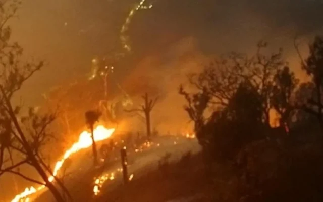 Petugas Karhutla Bromo yang Meninggal Dunia Jadi 5 Orang