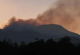 Kebakaran Lereng Lawu, Hewan Buas Turun Gunung Mangsa Ternak