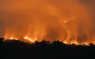 BNPB: 570 Hektare Lahan di Sumatera dan Kalimantan Masih Terbakar
