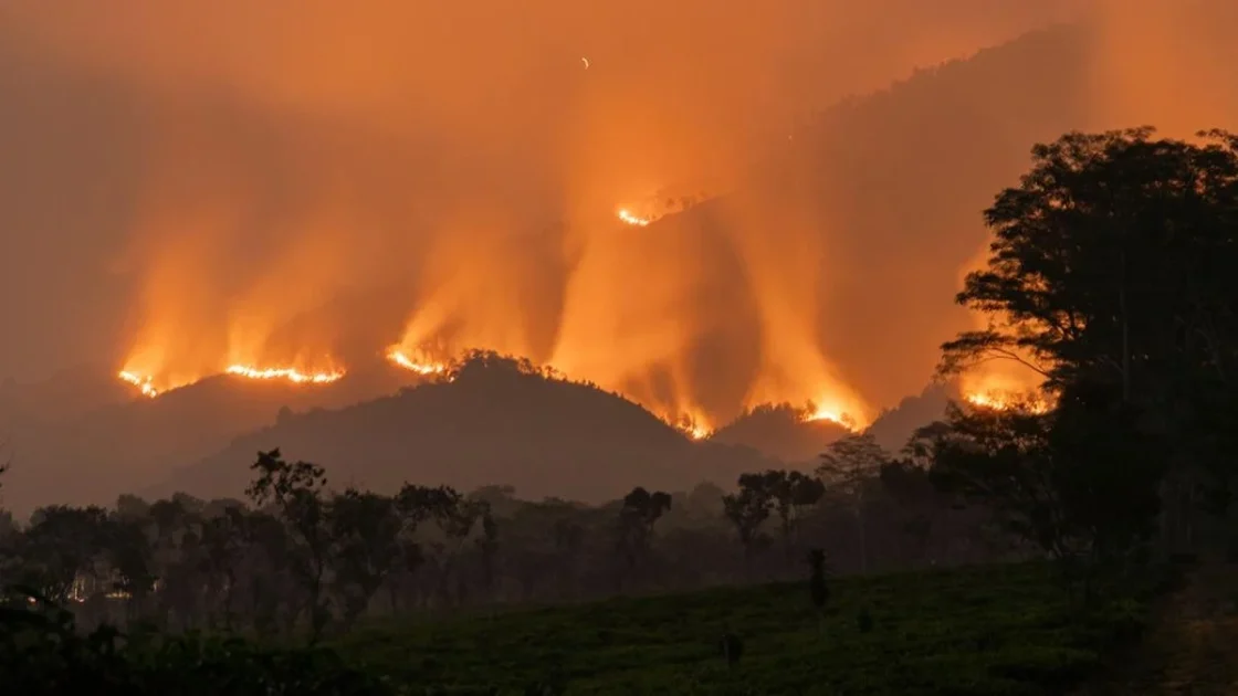 Karhutla Arjuno-Welirang Rusak 10 Km Pipa Air di Pasuruan