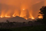 Karhutla Arjuno-Welirang Rusak 10 Km Pipa Air di Pasuruan
